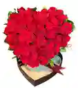 Corazón De Rosas
