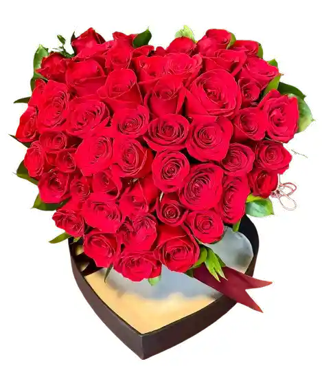 Corazón De Rosas