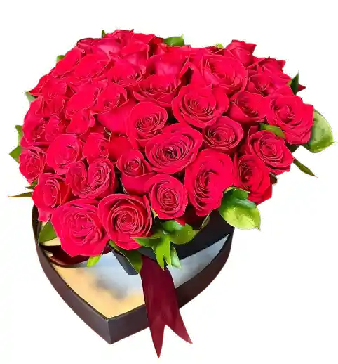 Corazón De Rosas