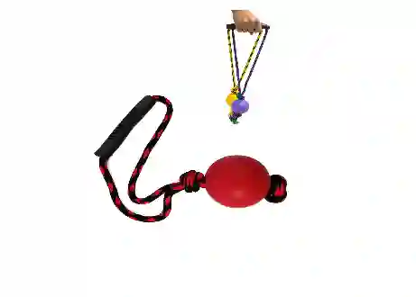 Juguete Perro Pelota Mediana Con Lazo