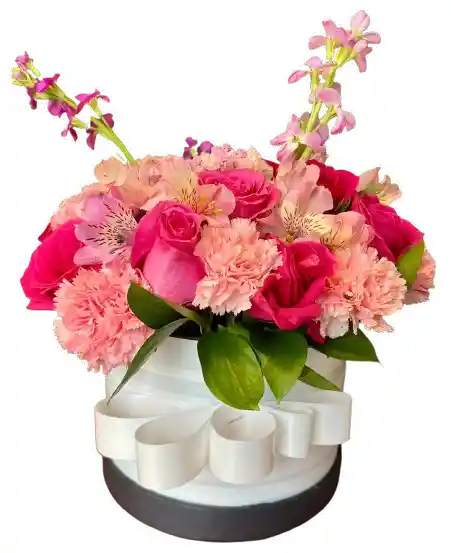 Encanto Rosado