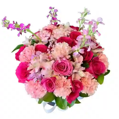 Encanto Rosado