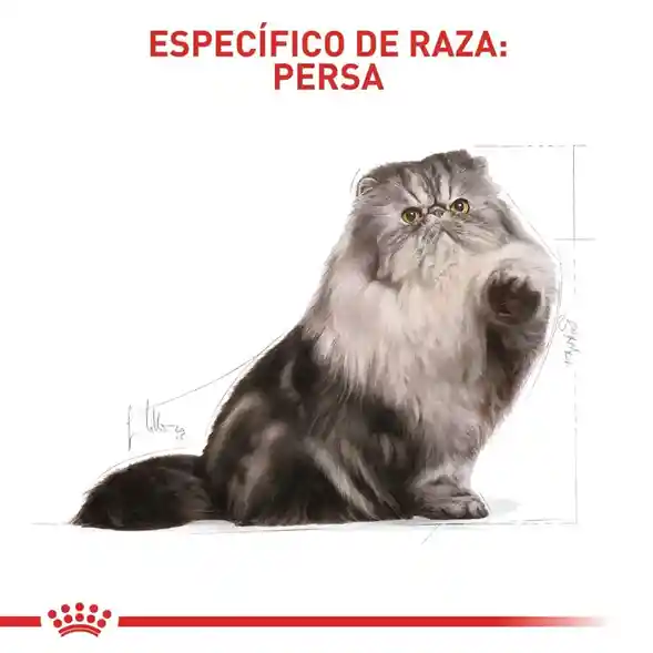 Royal Canin Feline Breed Nutrition Persian Adult - 400 Gr