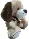 Peluche Perro Café Perrito Bufanda De 35 Cm Grande