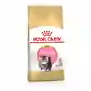 Alimento Para Gato Royal Canin Gatitos Persian Kitten - 400gr