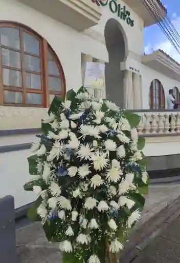 Ramo Funebre