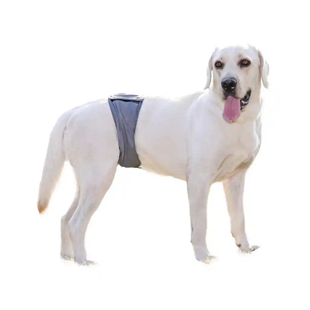 Pañal Lavable Macho Talla Xxl Tamaño Cintura 74-86cm X 1 Und