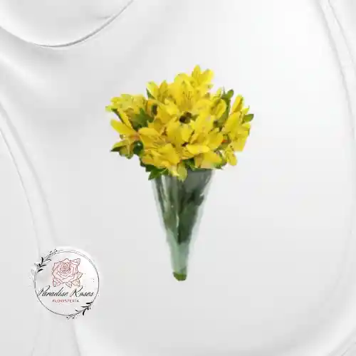 Alstroemerias Amarillas