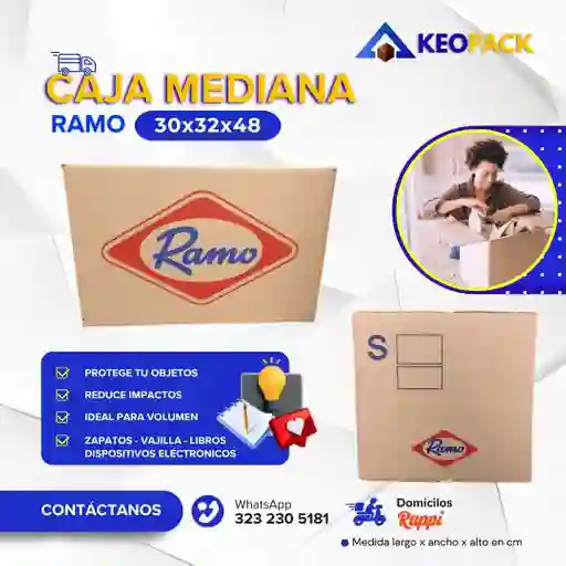Caja De Carton Mediana Ramo