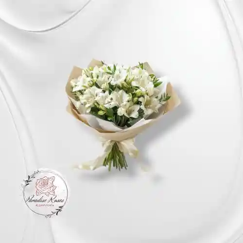 Astromelias Blancas