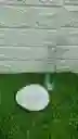Solitario En Cristal