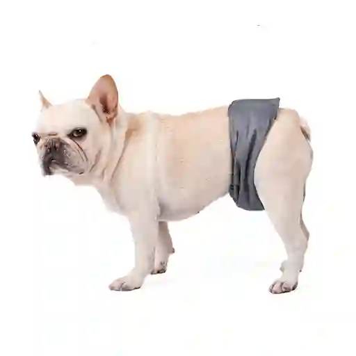 Pañal Lavable Macho Talla L Tamaño Cintura 52-60cm X 3 Und