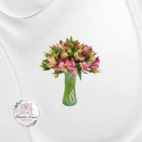 " Astromelias Encanto Rosado"