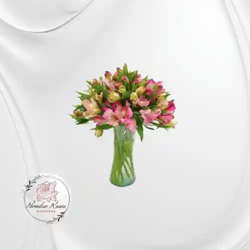" Astromelias Encanto Rosado"