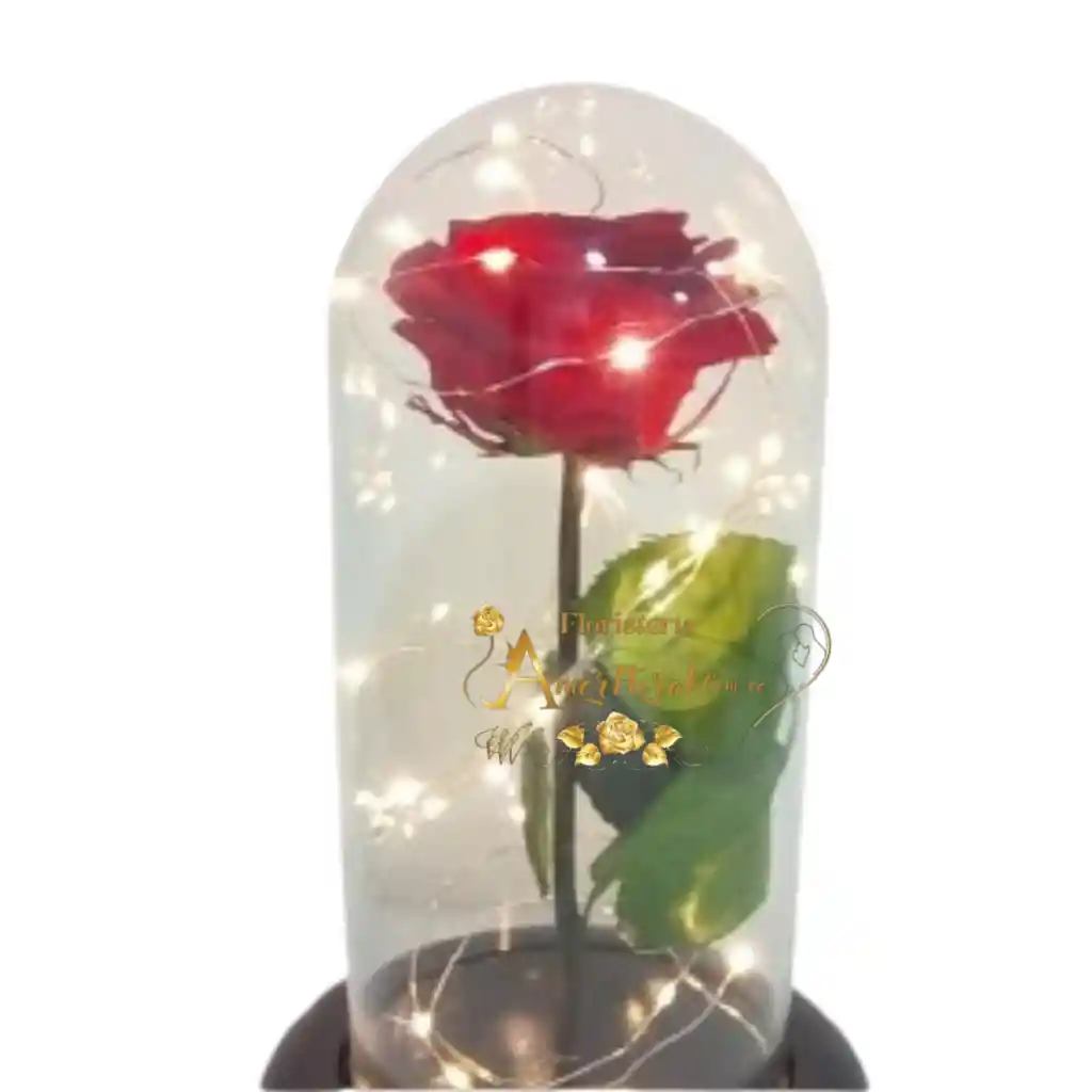 Rosas Preservada