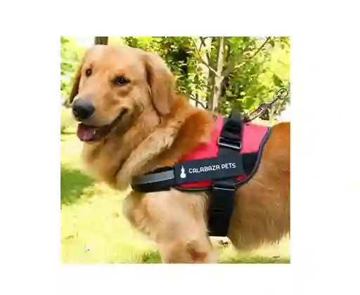Arnes Para Perros Antitirones - Pa70xs