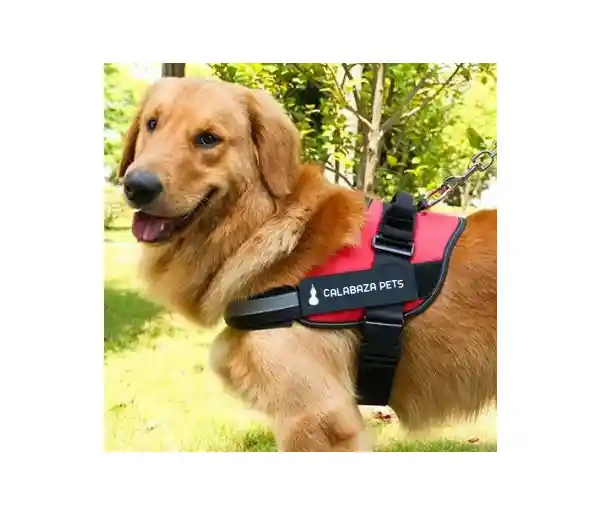 Arnes Para Perros Antitirones - Pa70xs