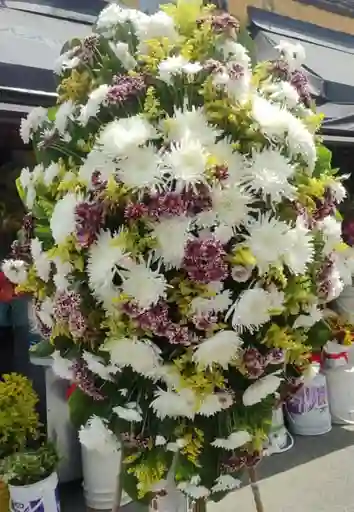Ramo Funebre