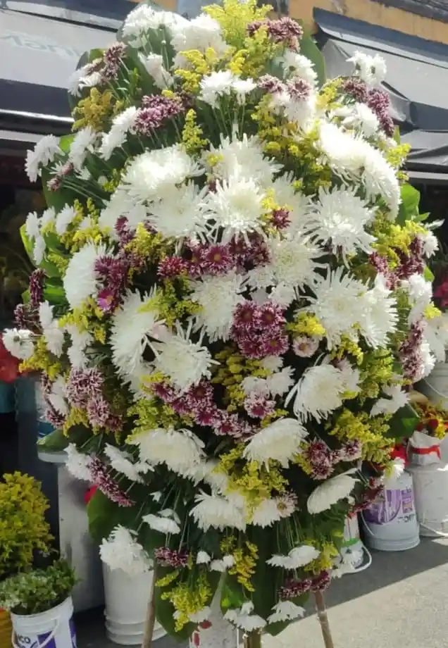 Ramo Funebre