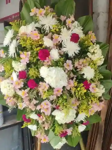 Ramo Funebre