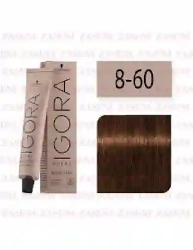 Igora 8-60 Rubio Claro Chocolate Natural