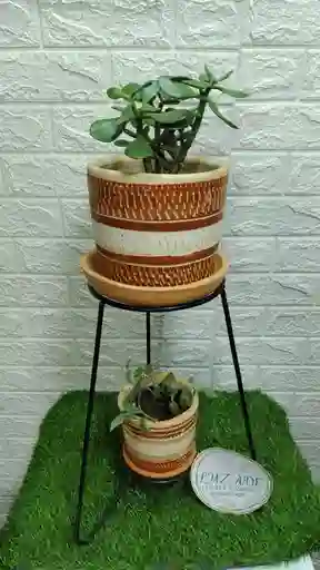 Oferta De Base De Hierro Mas Matera ,mas Planta De Interior Y Plato