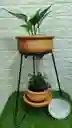 Oferta De Base De Hierro Mas Matera ,mas Planta De Interior Y Plato