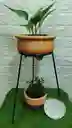 Oferta De Base De Hierro Mas Matera ,mas Planta De Interior Y Plato