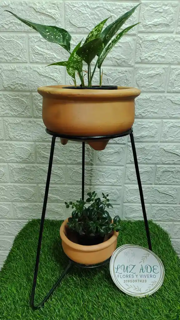 Oferta De Base De Hierro Mas Matera ,mas Planta De Interior Y Plato
