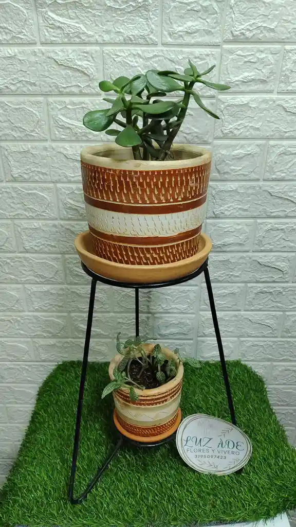 Oferta De Base De Hierro Mas Matera ,mas Planta De Interior Y Plato