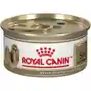 Royal Canin Shih Tzu Adulto 1.5 + 3 Latas Gratis