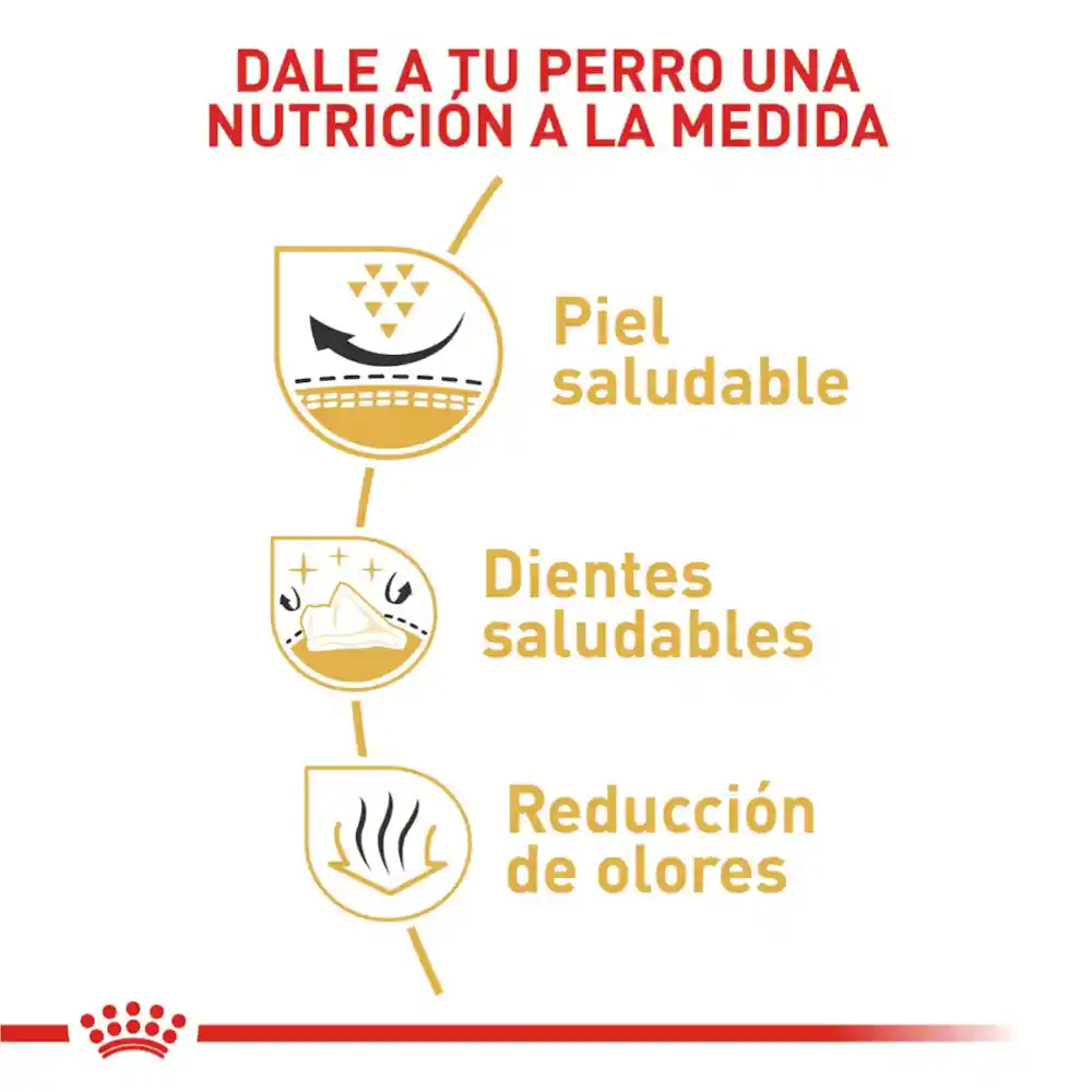 Royal Canin Shih Tzu Adulto 1.5 + 3 Latas Gratis