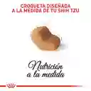 Royal Canin Shih Tzu Adulto 1.5 + 3 Latas Gratis