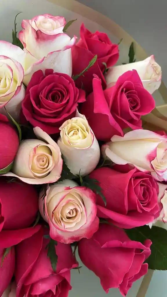 Cereza Floral X24 Rosas