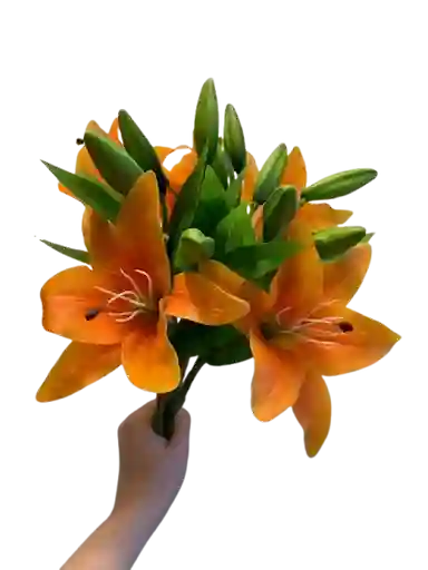 Lirio Naranja