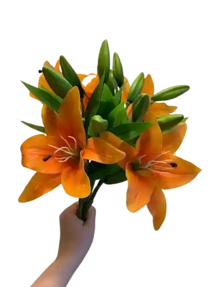 Lirio Naranja