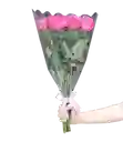 Ramo De 12 Rosas Fucsias