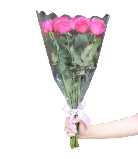 Ramo De 12 Rosas Fucsias