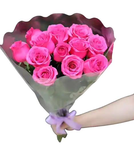 Ramo De 12 Rosas Fucsias