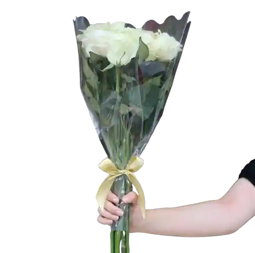 Ramo De 12 Rosas Blancas