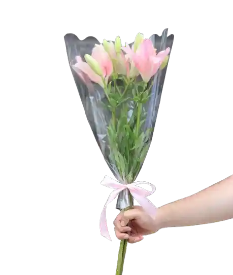 Lirio Rosado