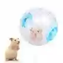 Rueda Esfera Bola Para Hamster 14 Cm