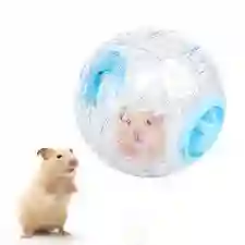 Rueda Esfera Bola Para Hamster 14 Cm