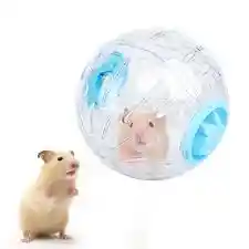 Rueda Esfera Bola Para Hamster 14 Cm