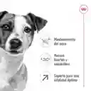 Royal Canin Mini Adult Size X 800gr