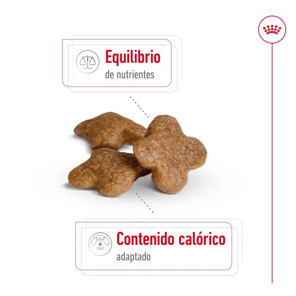 Royal Canin Mini Adult Size X 800gr