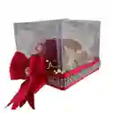Rosa Preservada