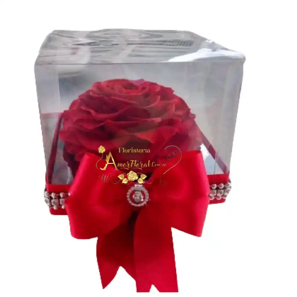 Rosa Preservada