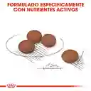 Royal Canin Digestive Care Mini (hasta 10kg) X 1kg