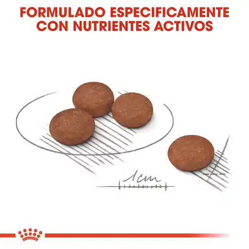 Royal Canin Digestive Care Mini (hasta 10kg) X 1kg